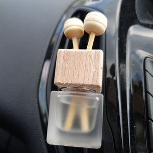 Mini luxury car diffuser