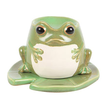 Load image into Gallery viewer, Frog burner