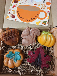 Autumn soywaxmelt box